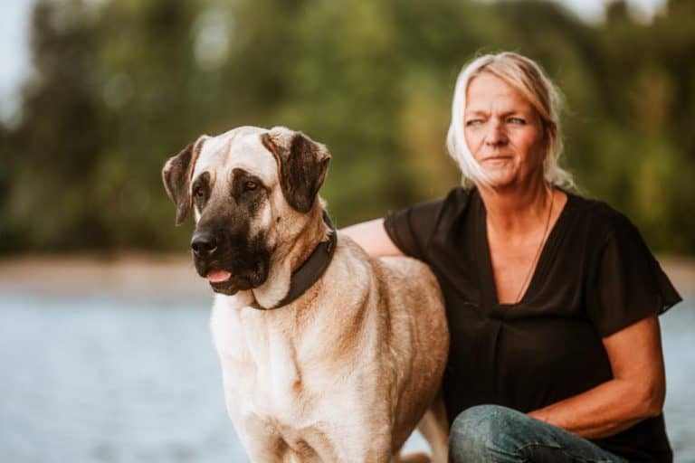 ce5f3103 7c47 4733 b5d7 0f8c377b59e3 768x512