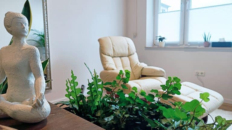 IMG20240311144659 768x432